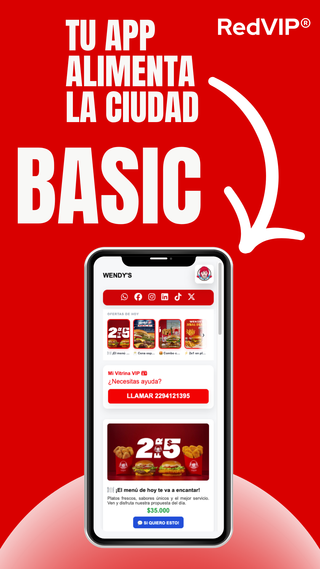 🟢 RedVIP® BASIC