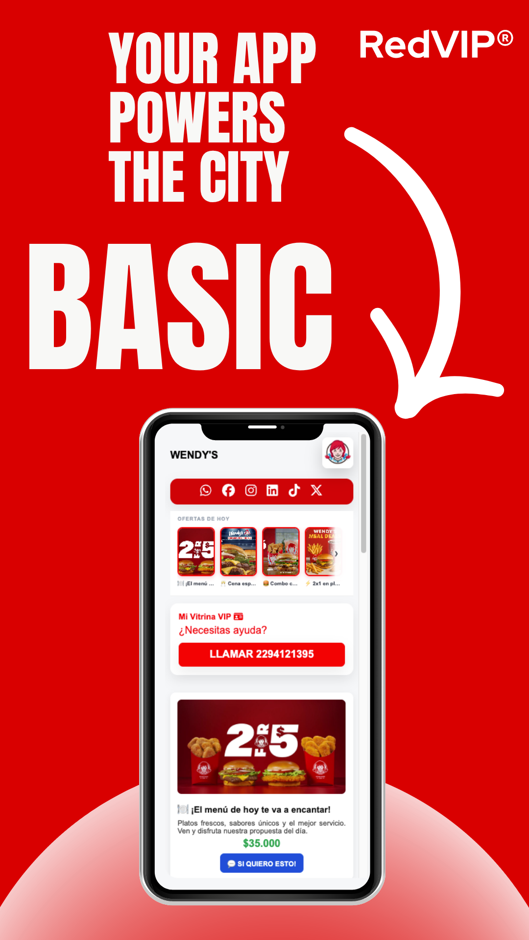 🟢 RedVIP® BASIC