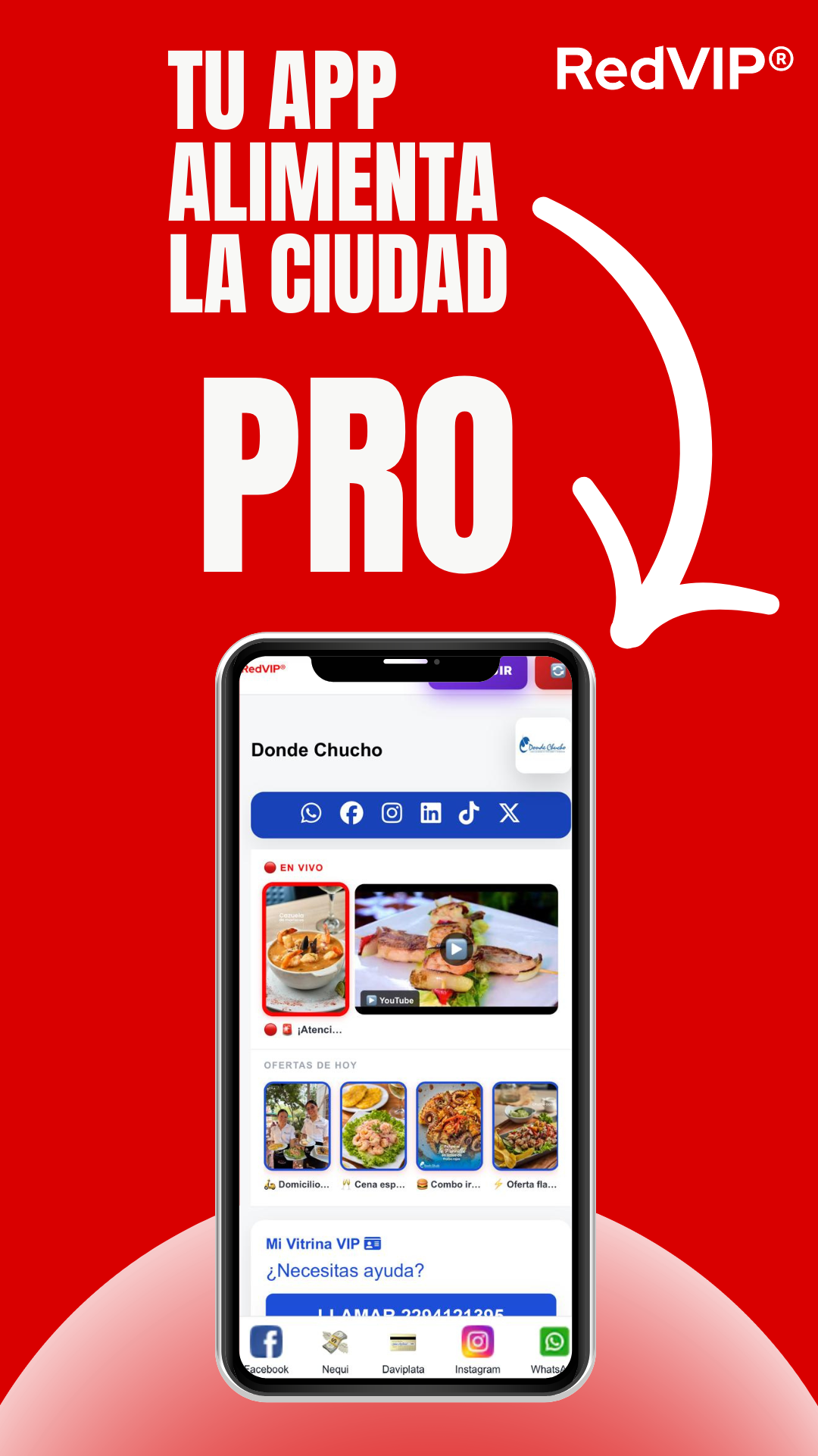 🔵 RedVIP® PRO